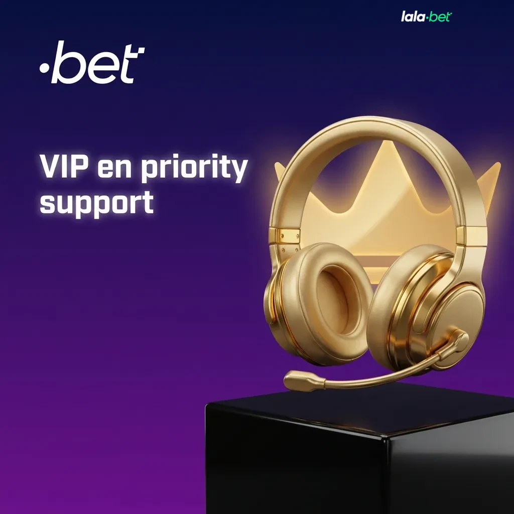 Illustratie van VIP-klant die snelle, persoonlijke priority support ontvangt via telefoon, chat en e-mail